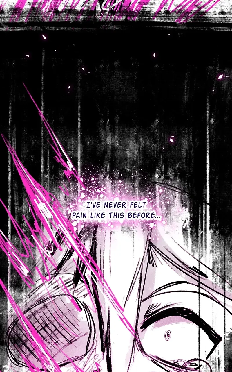 City of Zak Chapter 221 page 41 - 