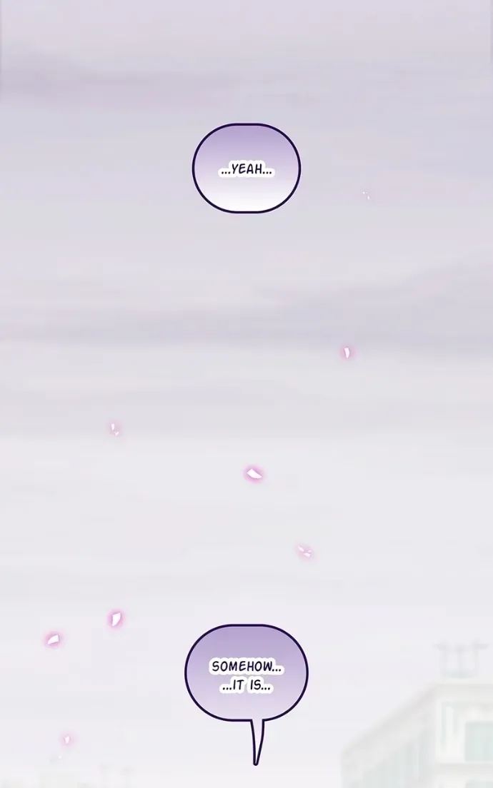 City of Zak Chapter 229 page 29 - 