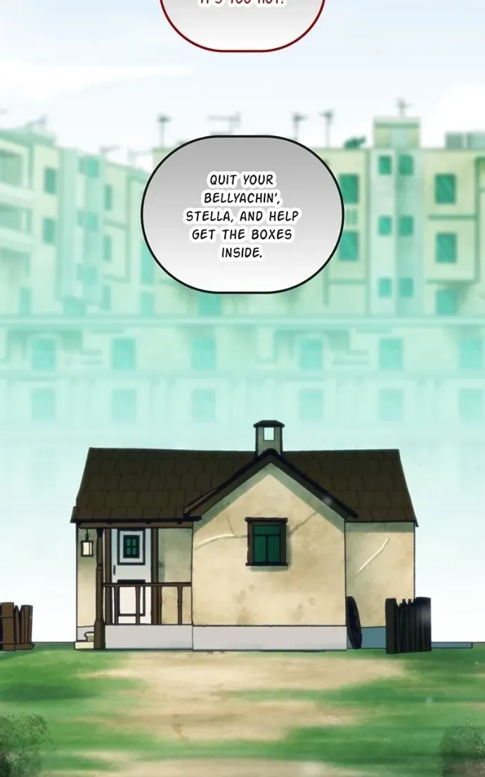 City of Zak Chapter 236 page 4 - 