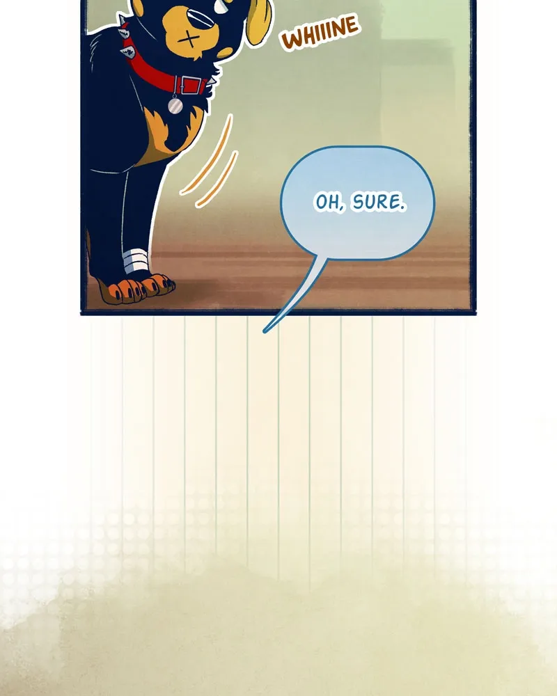 City of Zak Chapter 24 page 41 - 