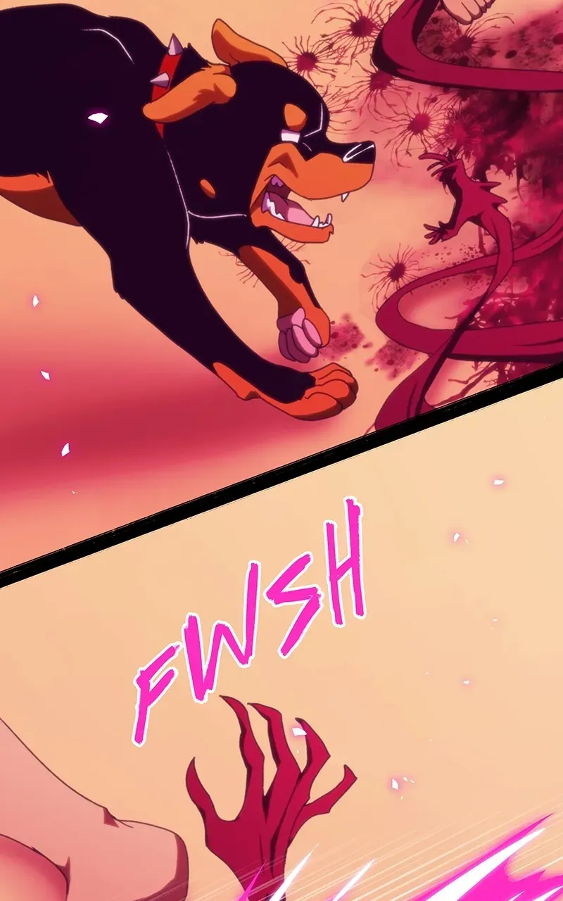 City of Zak Chapter 243 page 11 - 