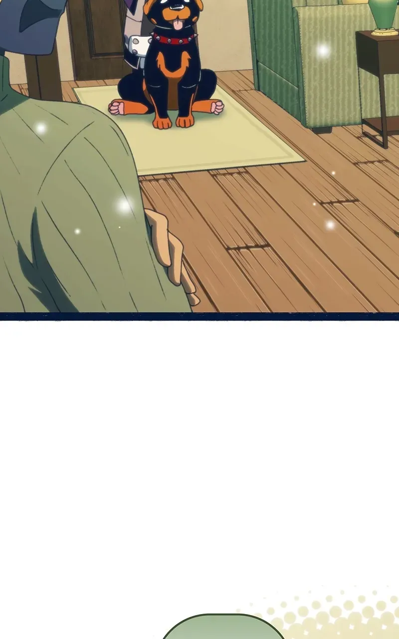 City of Zak Chapter 244 page 24 - 