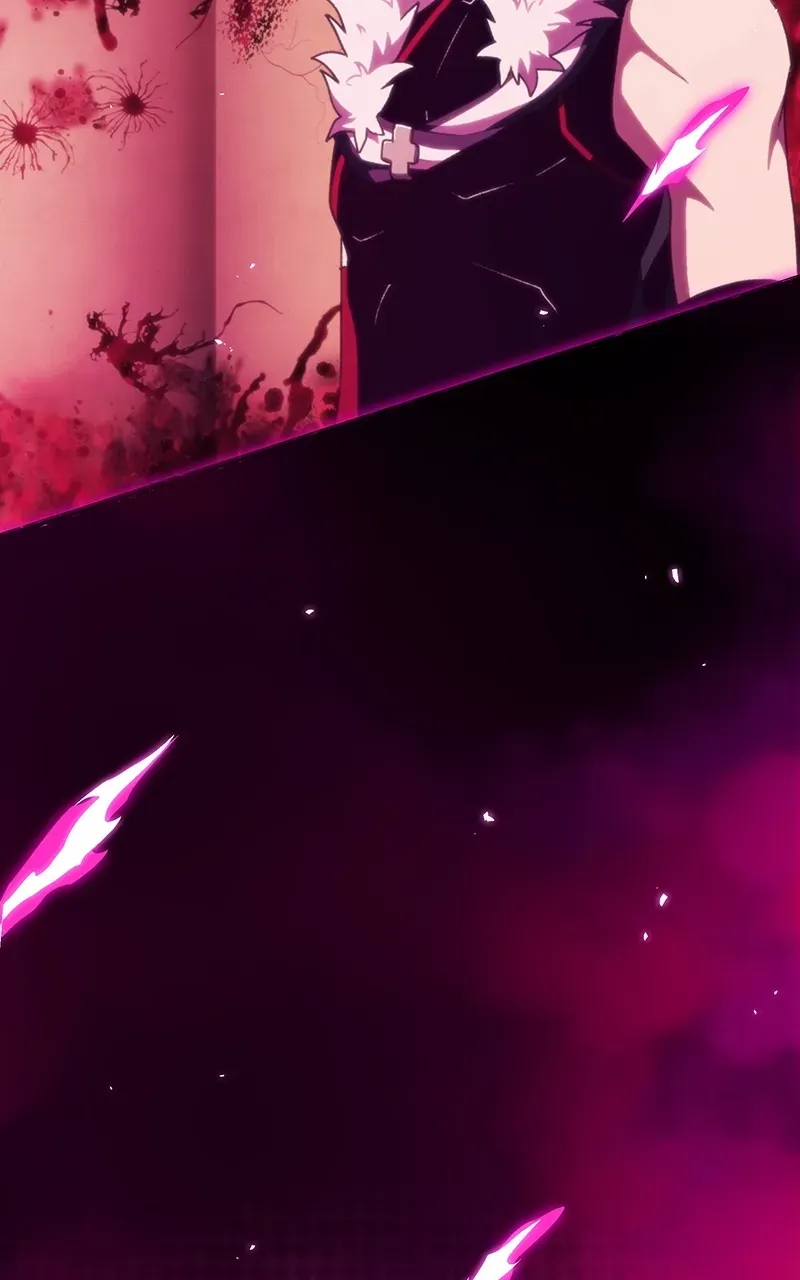 City of Zak Chapter 244 page 27 - 