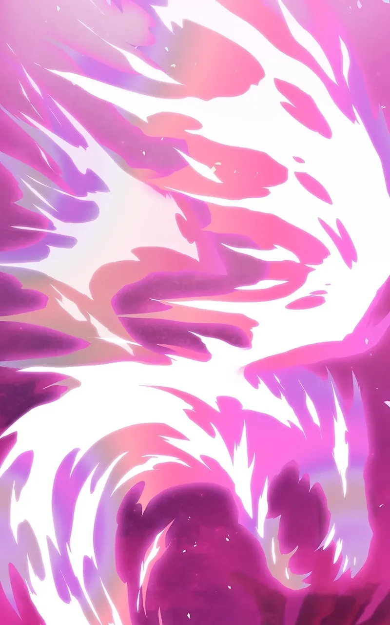 City of Zak Chapter 245 page 2 - 