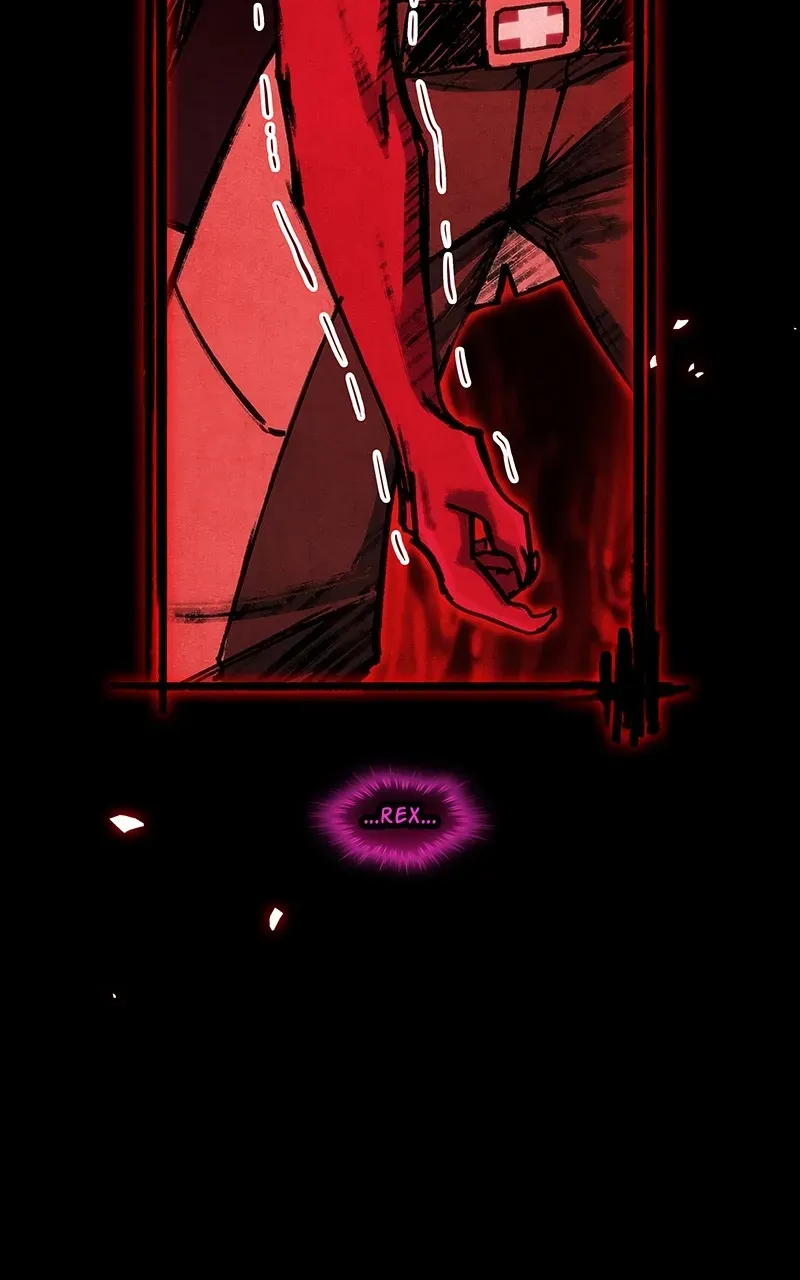 City of Zak Chapter 247 page 37 - 