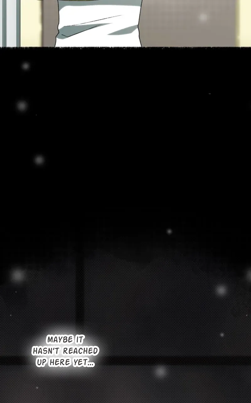 City of Zak Chapter 248 page 17 - 