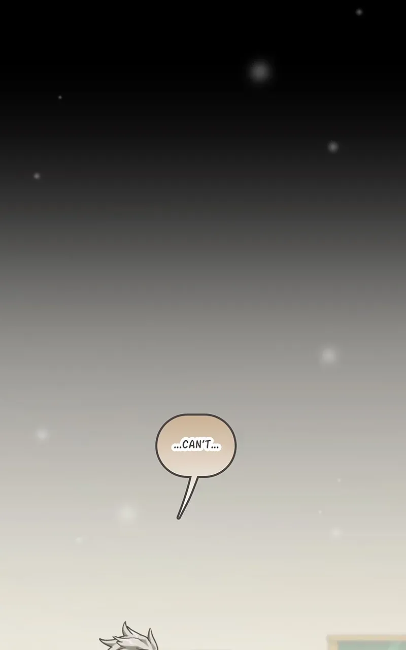 City of Zak Chapter 249 page 3 - 
