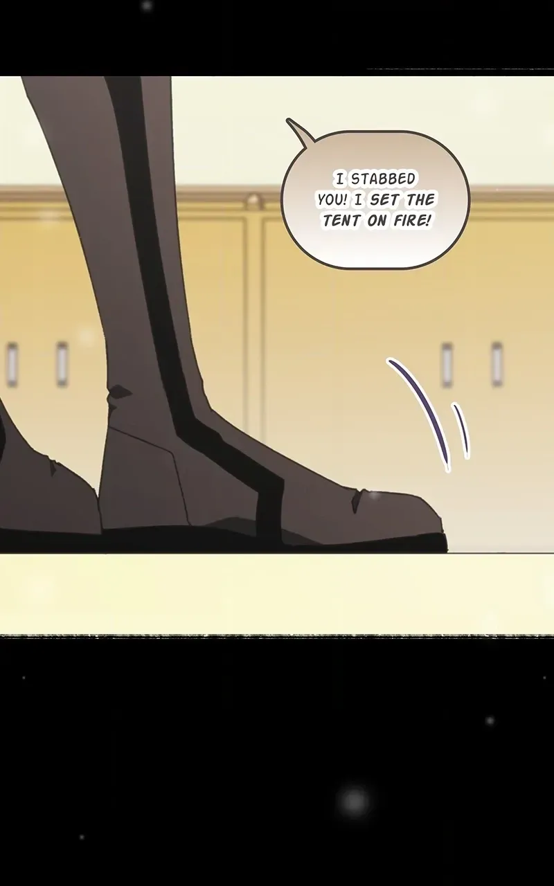 City of Zak Chapter 249 page 10 - 