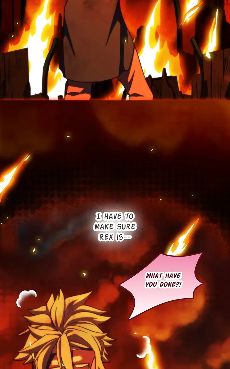 City of Zak Chapter 250 page 13 - 