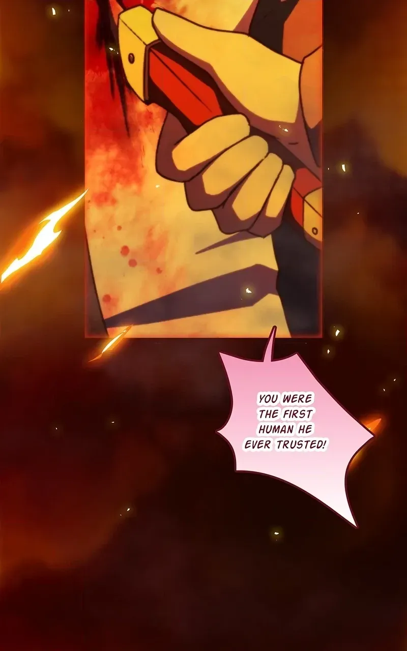 City of Zak Chapter 250 page 20 - 