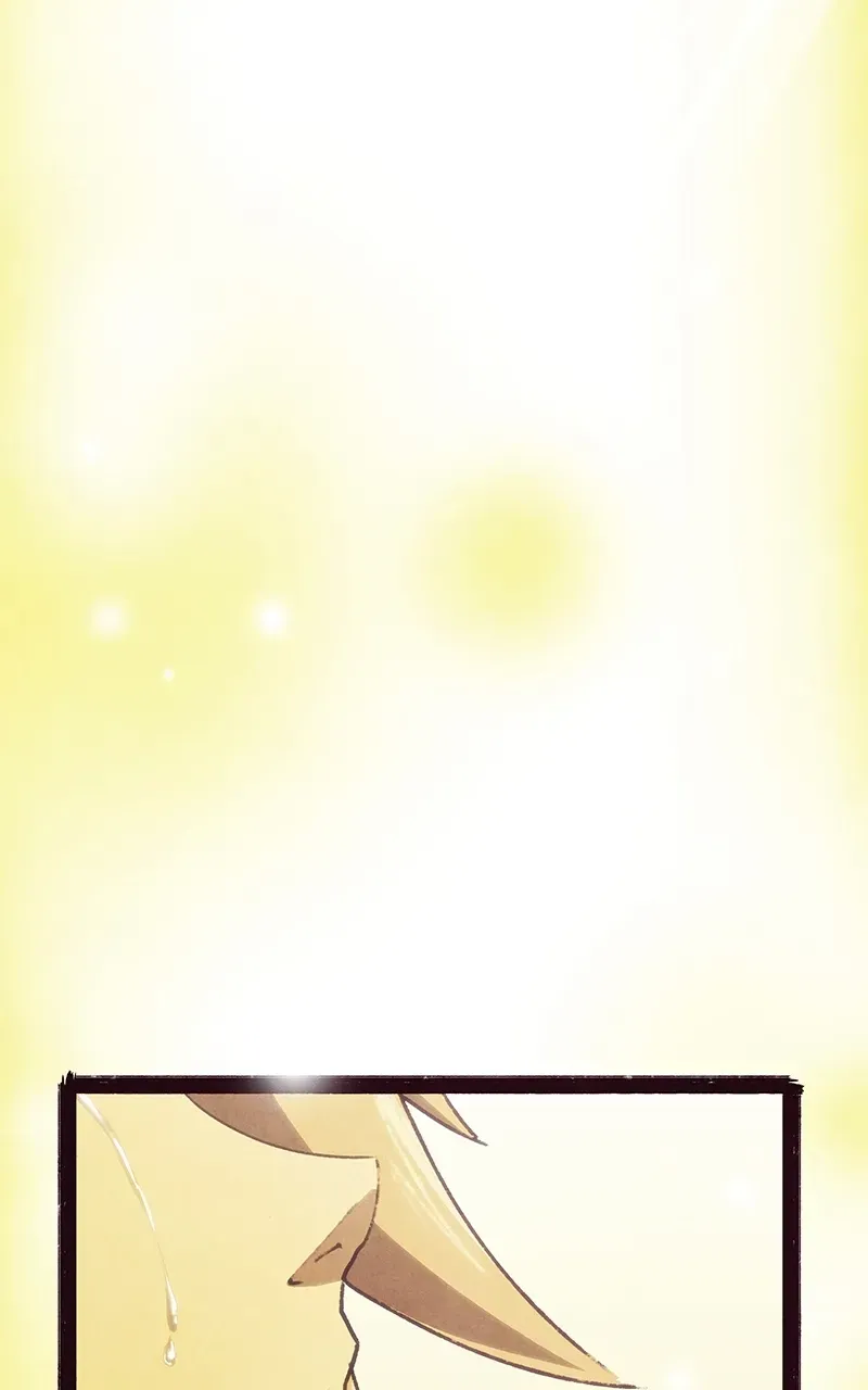 City of Zak Chapter 250 page 61 - 