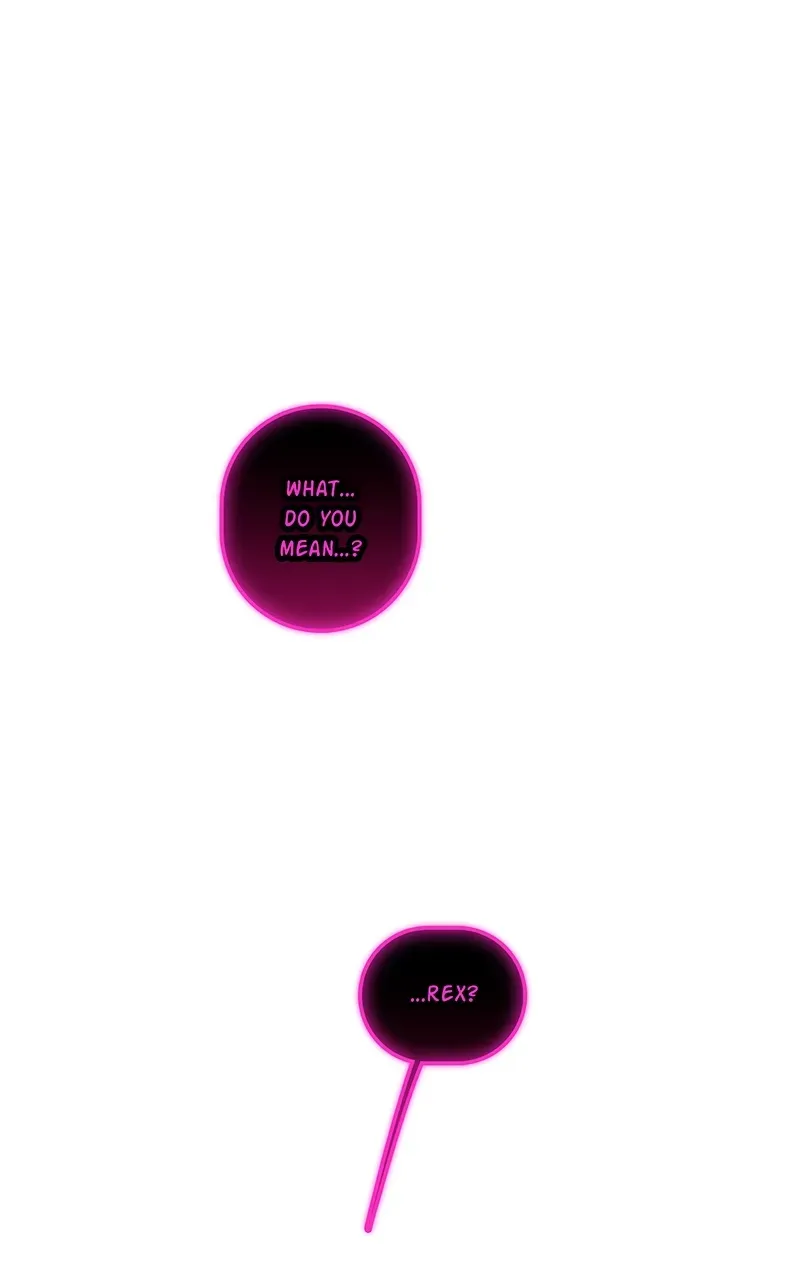 City of Zak Chapter 252 page 5 - 