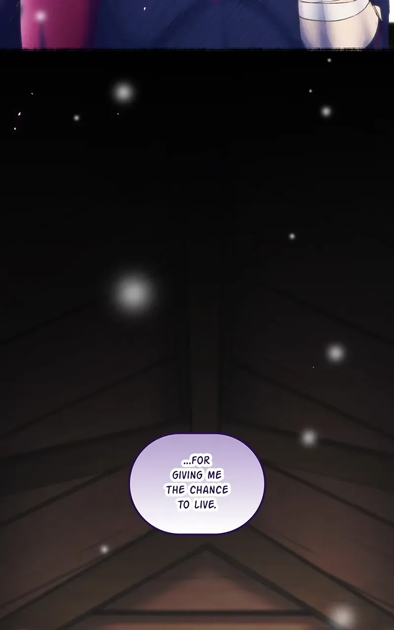 City of Zak Chapter 252 page 49 - 