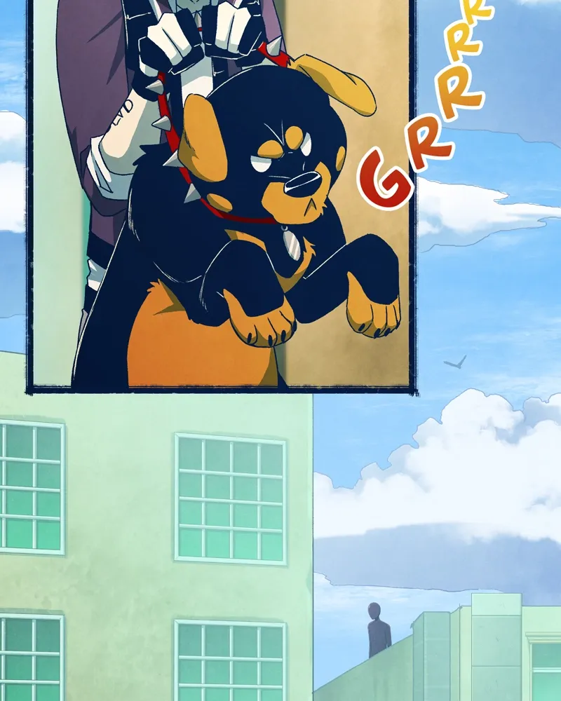 City of Zak Chapter 33 page 41 - 