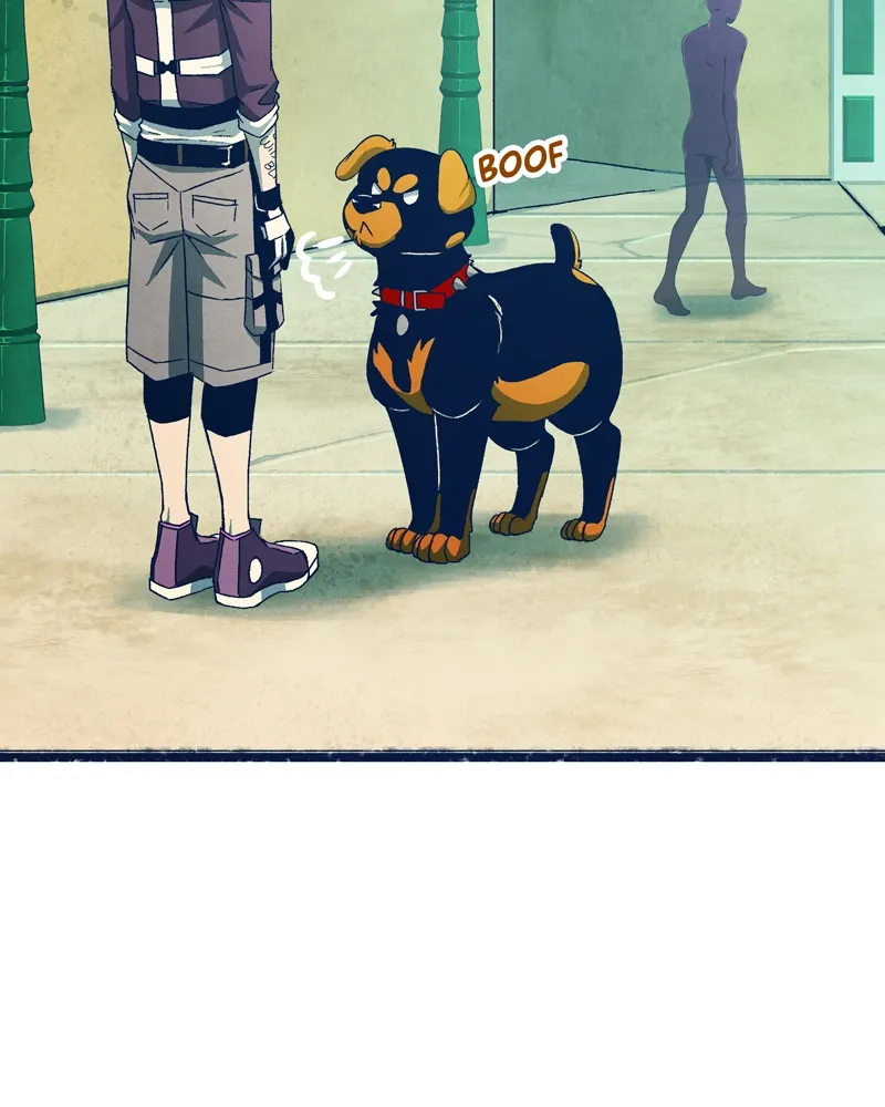 City of Zak Chapter 33 page 43 - 