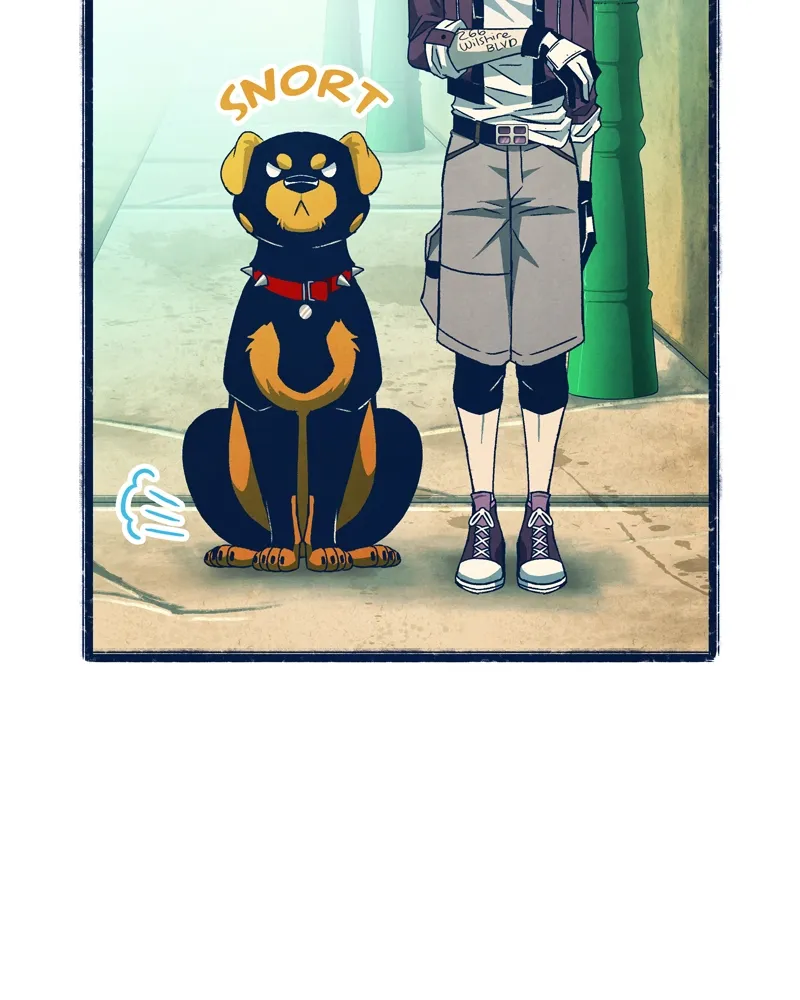 City of Zak Chapter 33 page 45 - 