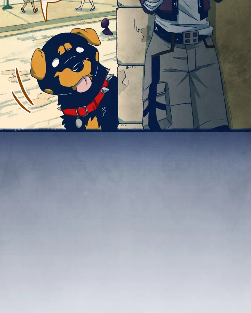 City of Zak Chapter 35 page 3 - 
