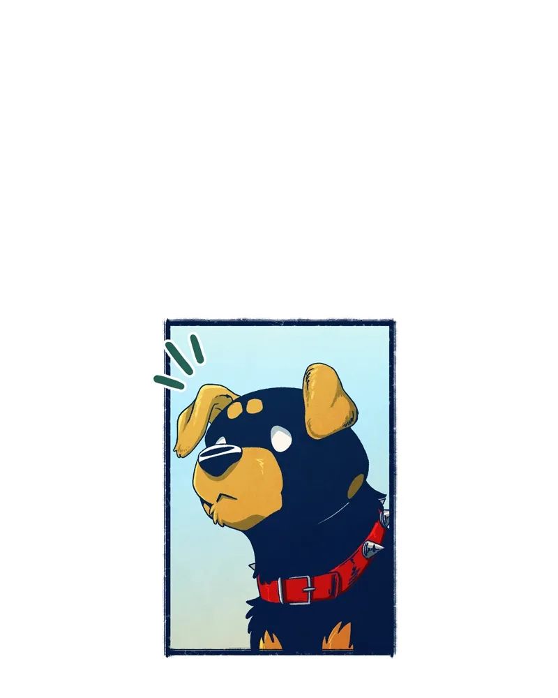 City of Zak Chapter 35 page 27 - 