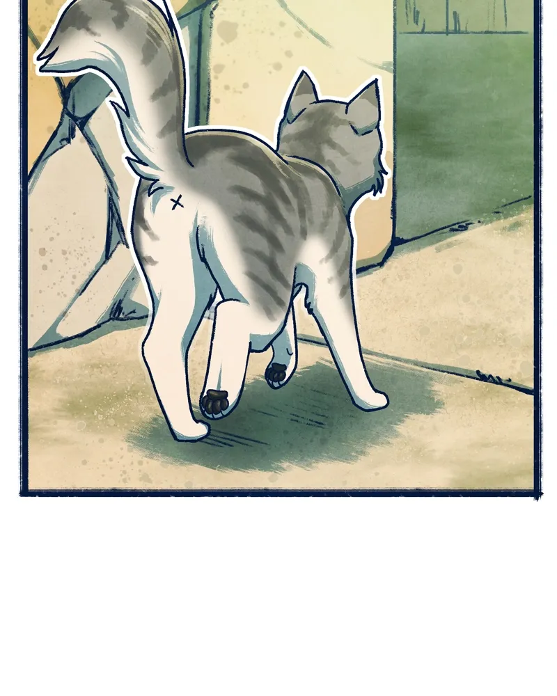 City of Zak Chapter 35 page 62 - 