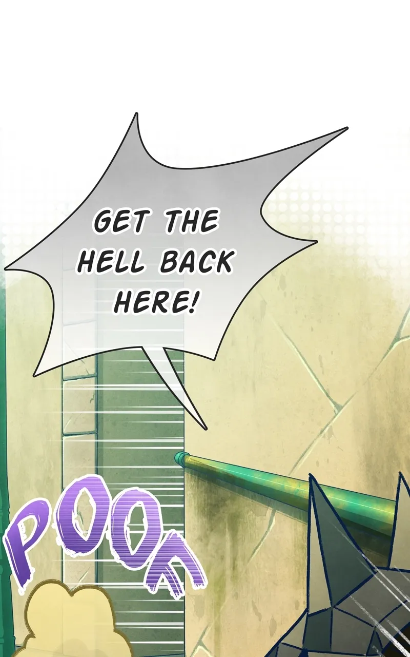 City of Zak Chapter 36 page 13 - 