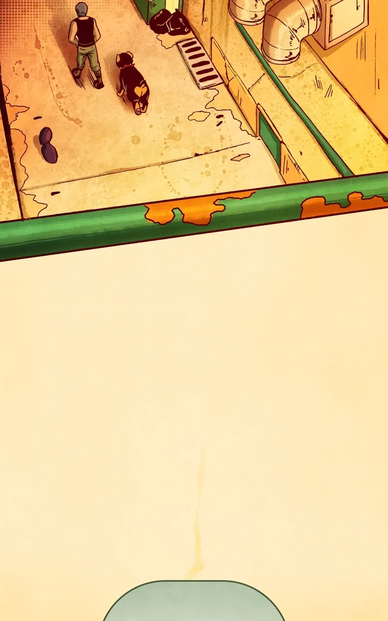 City of Zak Chapter 36 page 60 - 
