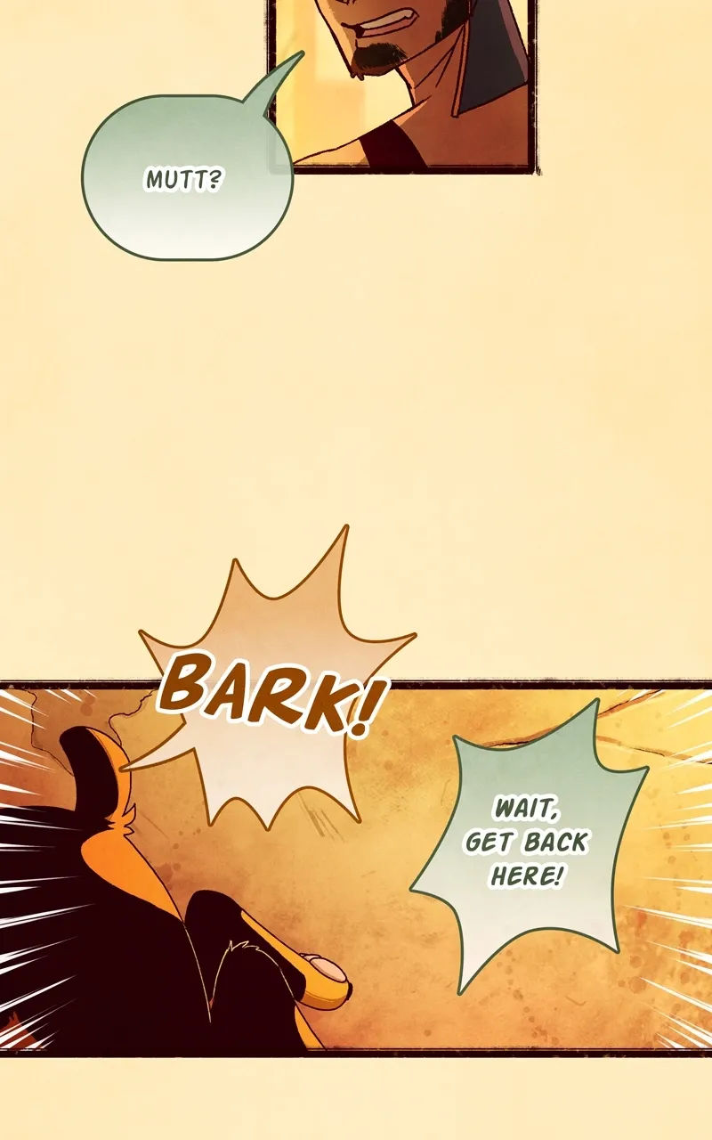 City of Zak Chapter 36 page 66 - 