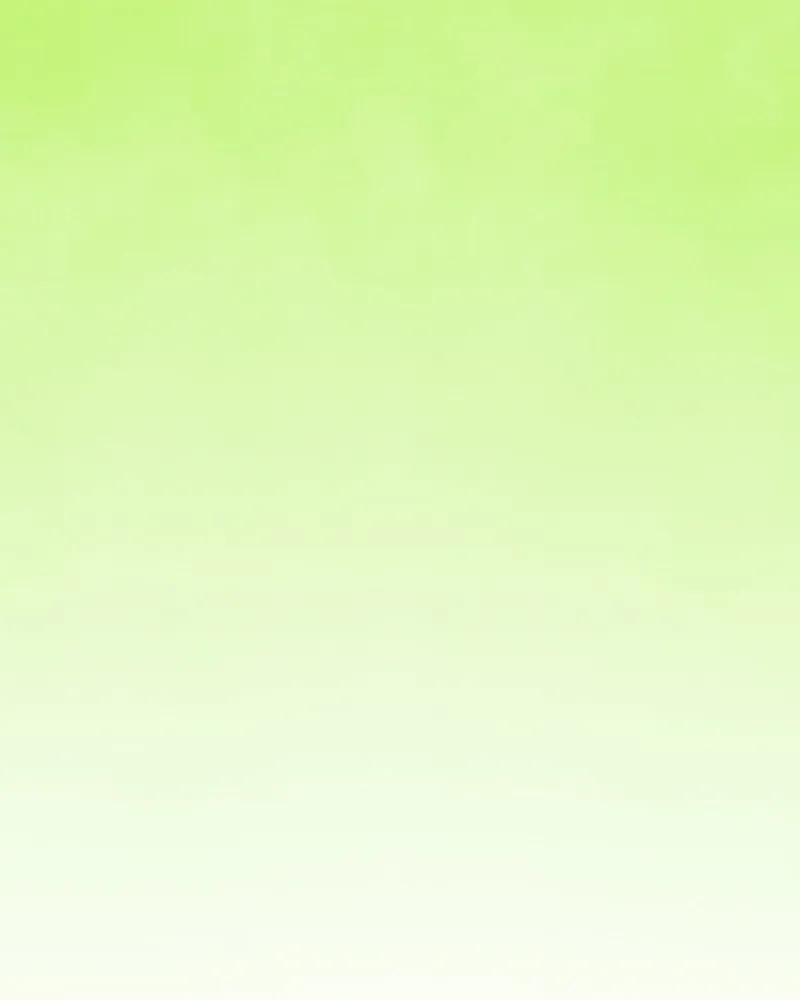 City of Zak Chapter 41 page 17 - 
