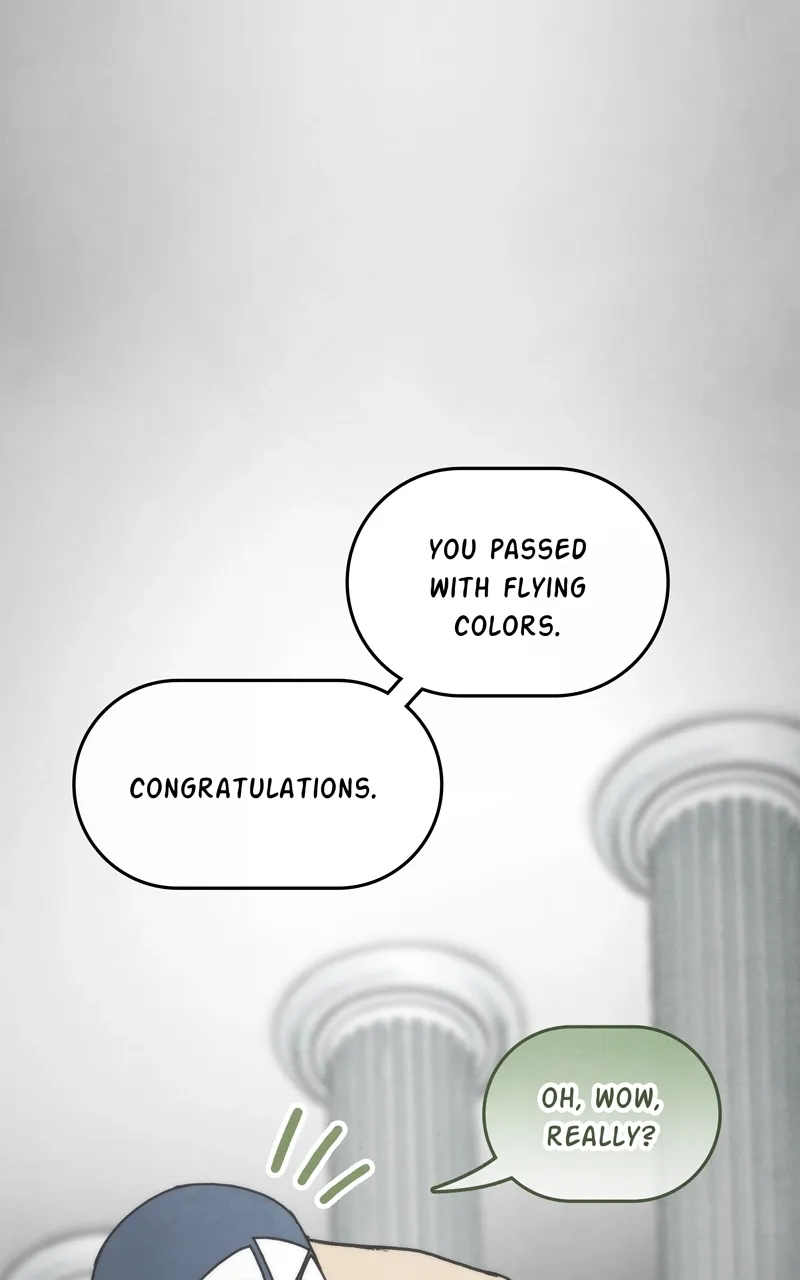 City of Zak Chapter 42 page 17 - 