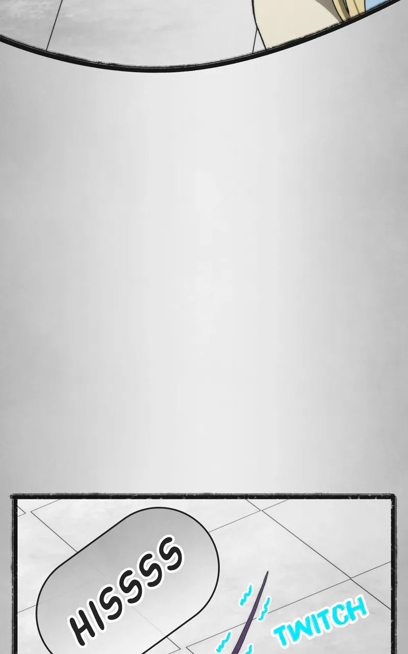 City of Zak Chapter 44 page 41 - 