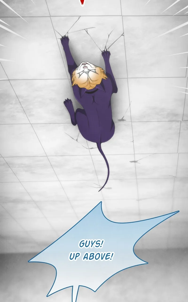 City of Zak Chapter 44 page 8 - 