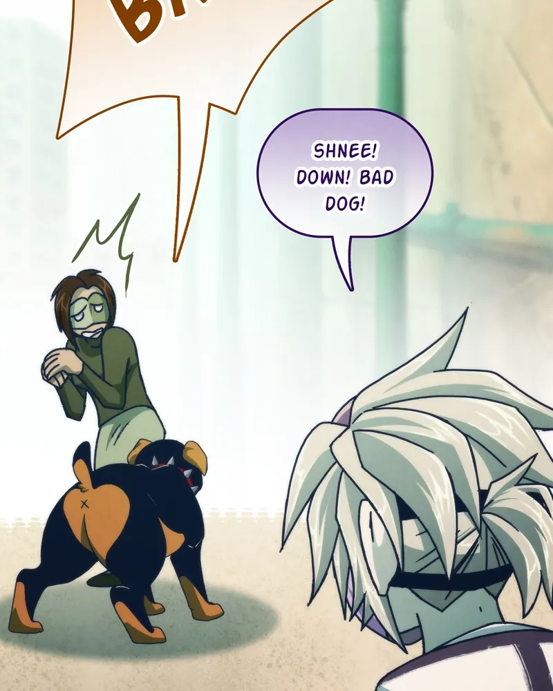 City of Zak Chapter 46 page 61 - 