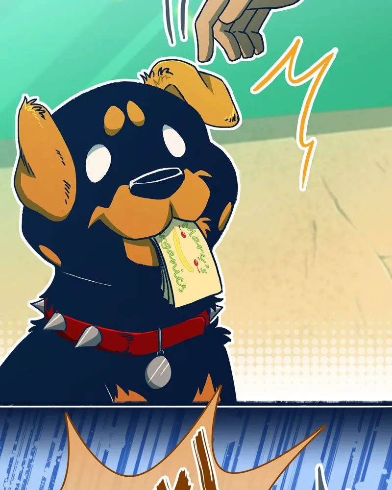 City of Zak Chapter 6 page 71 - 