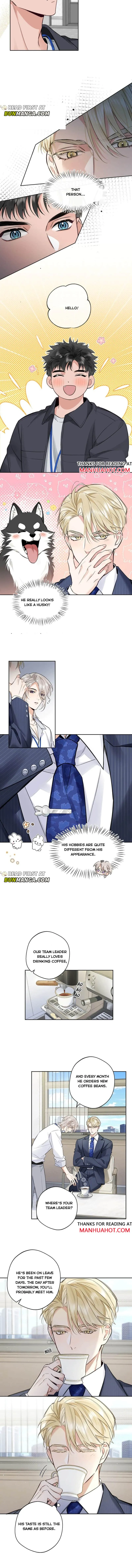 Claimed By A Wolf Chapter 17 page 3 - 