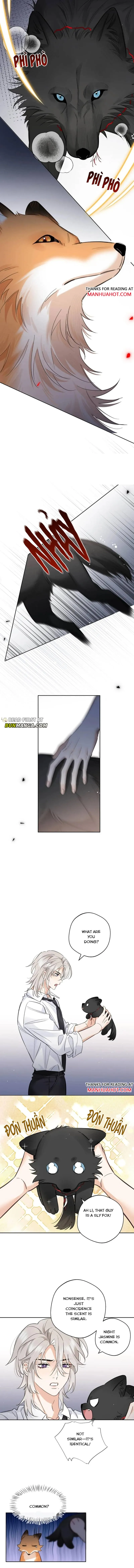 Claimed By A Wolf Chapter 33 page 3 - 