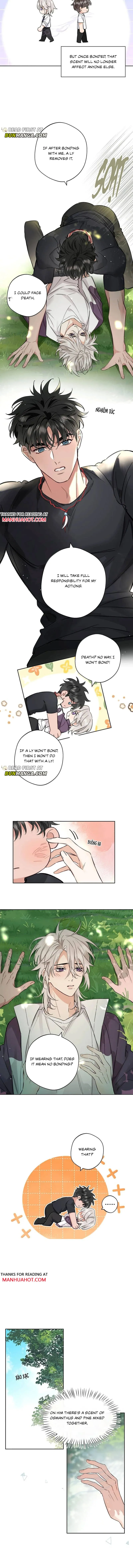 Claimed By A Wolf Chapter 46 page 4 - 