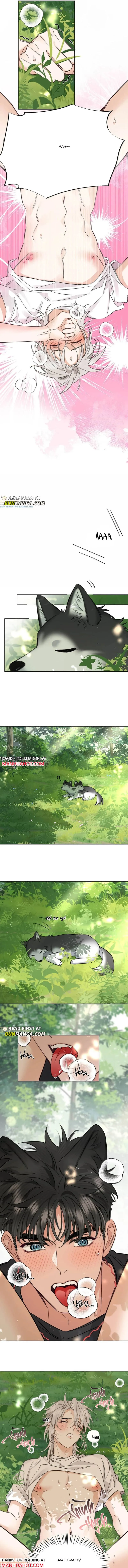 Claimed By A Wolf Chapter 47 page 5 - 