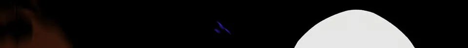 Clandestine Affair Chapter 3 page 67 - 