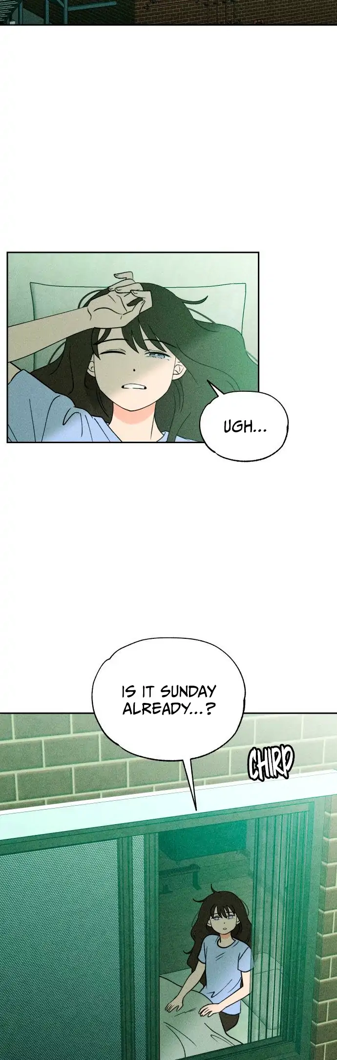 Classmate Chapter 6 page 3 - 