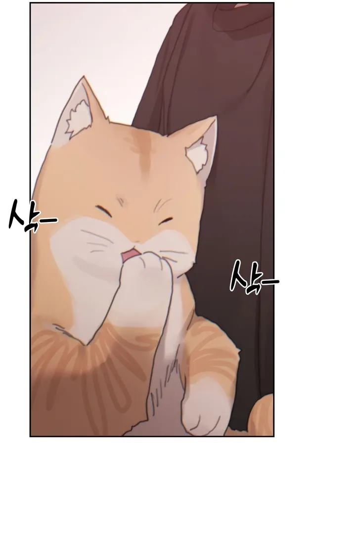 Cold? Hot! Chapter 19 page 91 - 