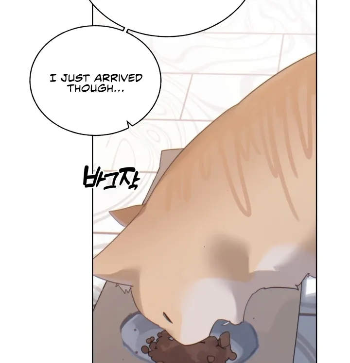 Cold? Hot! Chapter 6 page 22 - 