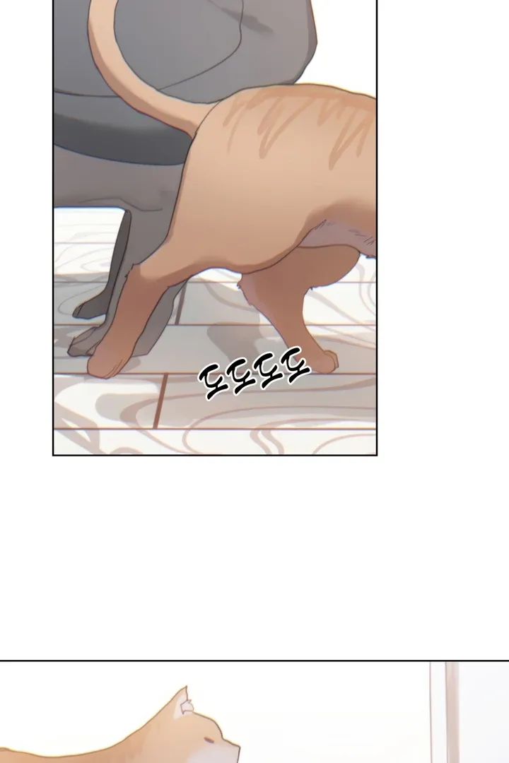 Cold? Hot! Chapter 6 page 63 - 