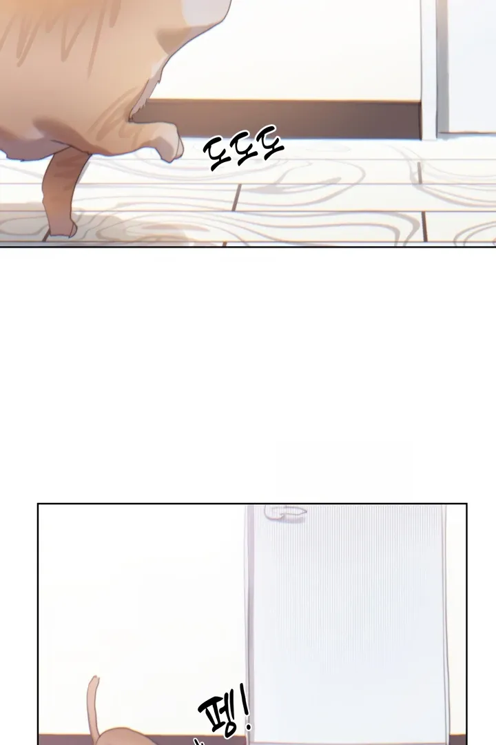 Cold? Hot! Chapter 6 page 64 - 