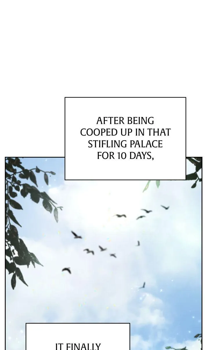 Color Process Chapter 3 page 25 - 