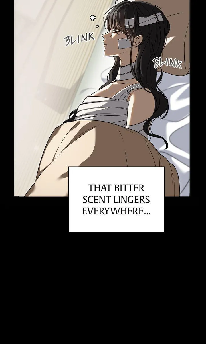 Color Process Chapter 6 page 13 - 