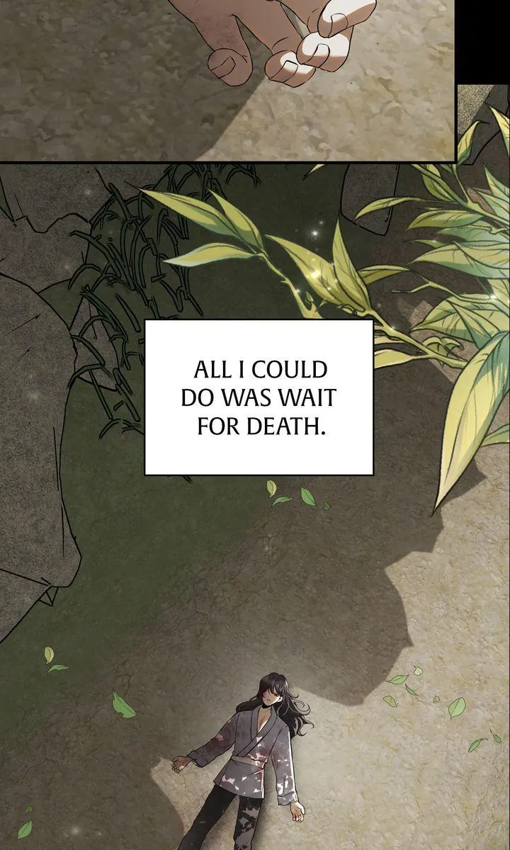 Color Process Chapter 6 page 3 - 