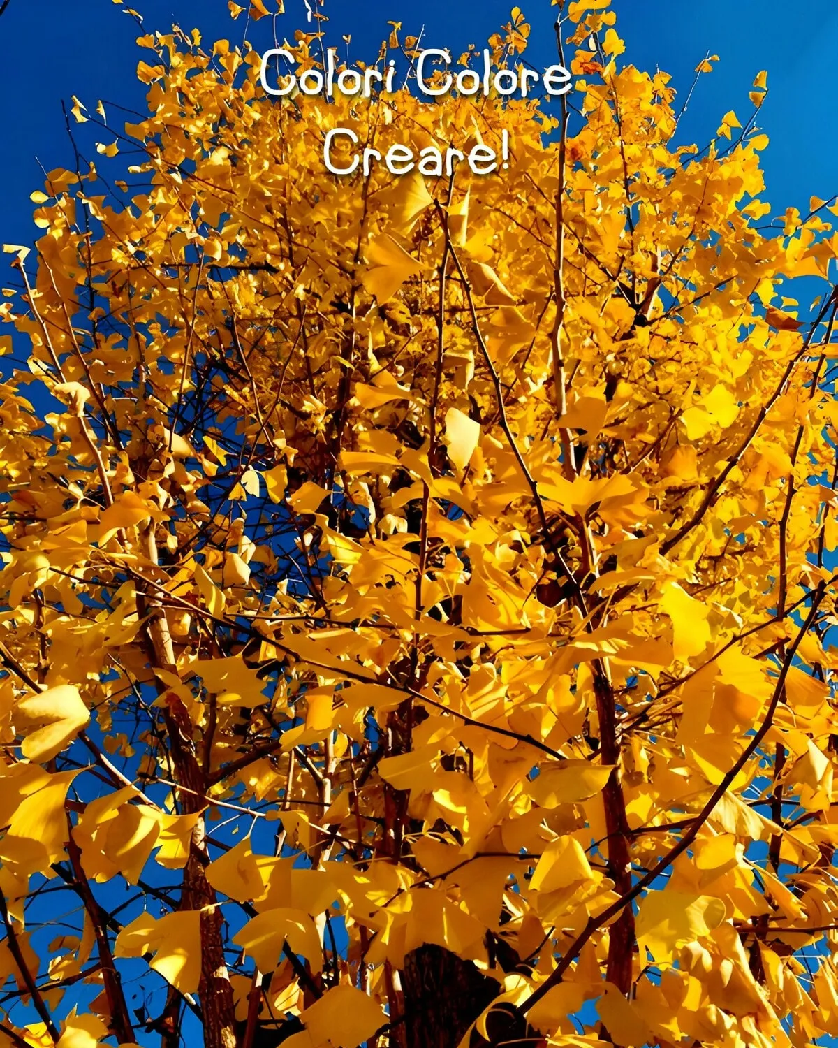 Colori Colore Creare Chapter 12 page 32 - 