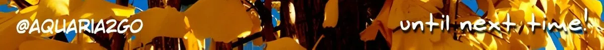Colori Colore Creare Chapter 12 page 33 - 