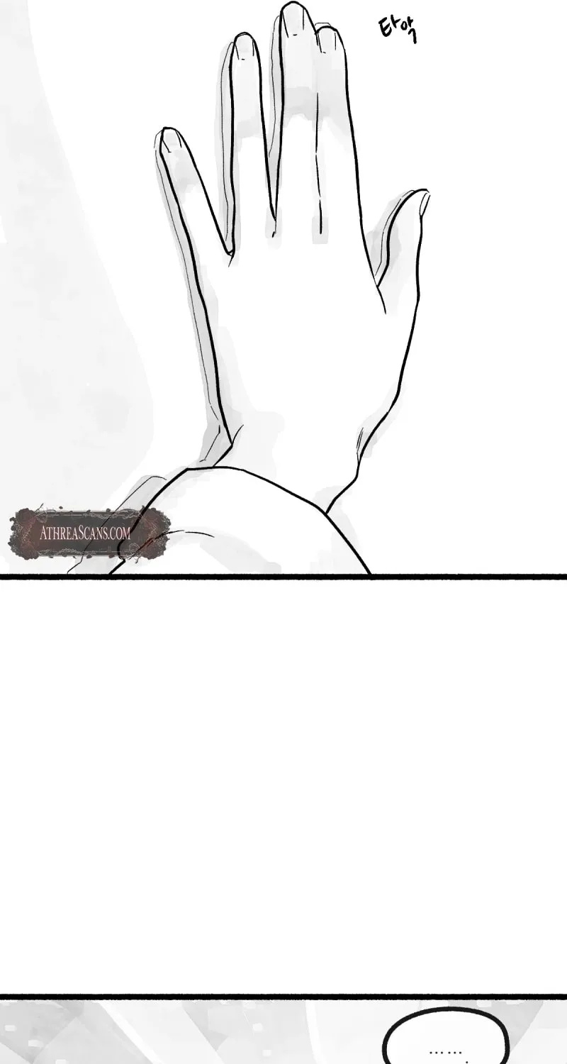 Common and Widespread Chapter 1 page 13 - 