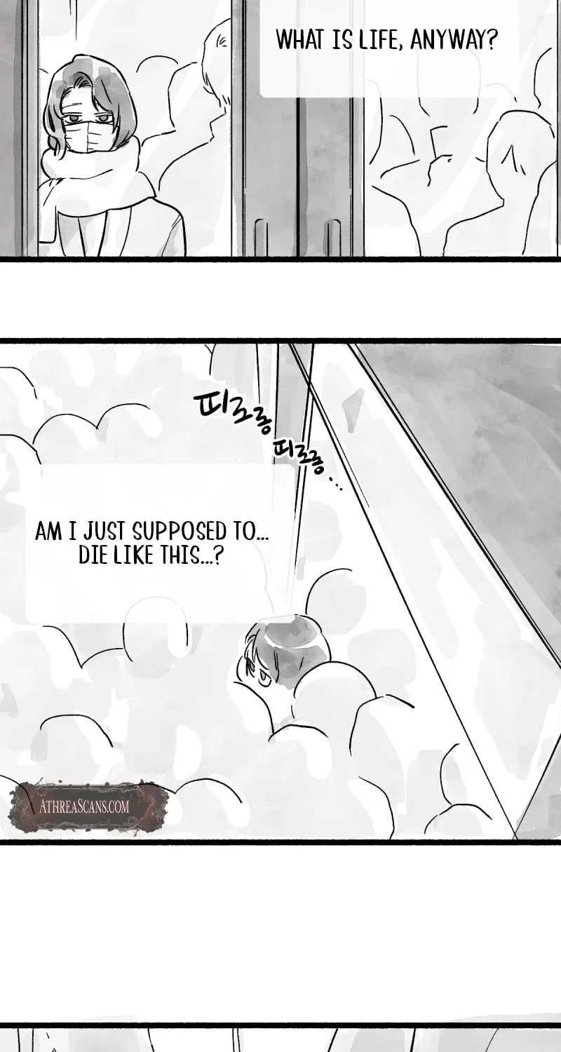 Common and Widespread Chapter 1 page 9 - 