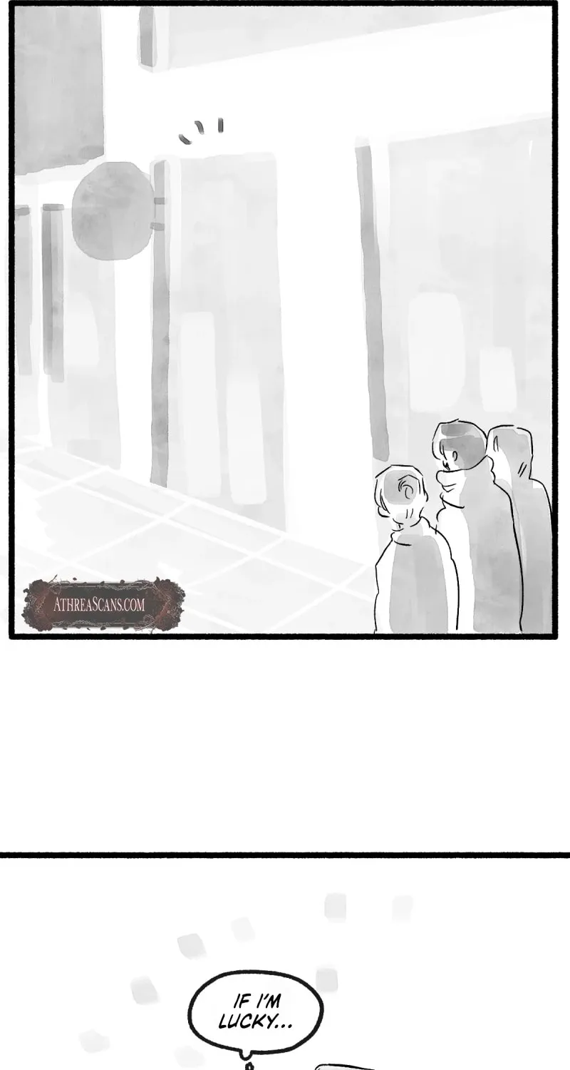 Common and Widespread Chapter 1 page 82 - 